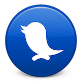 Save Twitter direct message conversations to PDF and print Twitter conversations.
