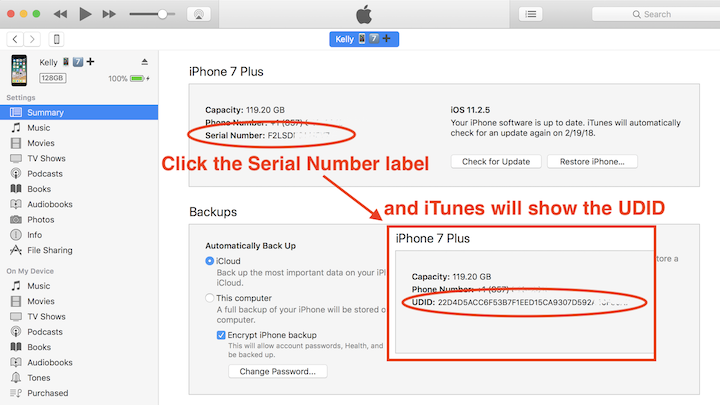 Reveal the iPhone UDID in iTunes by clicking on the Serial Number label