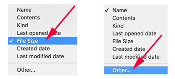 Choose file size option from Mac find menu choices.