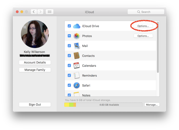 ibackup viewer icloud