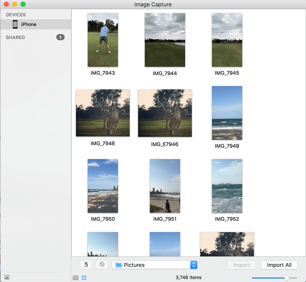 image capture not working on mac