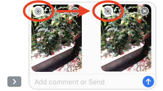 Reduce Text Message Attachment Size By Turning Off Live Photos